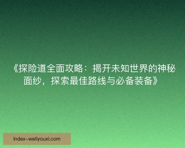 《探险道全面攻略：揭开未知世界的神秘面纱，探索最佳路线与必备装备》