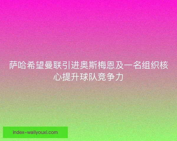 萨哈希望曼联引进奥斯梅恩及一名组织核心提升球队竞争力
